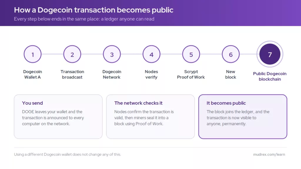 Is Dogecoin a Private Cryptocurrency? How a Dogecoin transaction is verified and added to the public blockchain